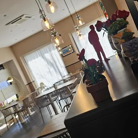 酒店 Msn伽勒斯酒店